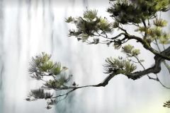 PixPin_2024-10-13_18-00-09-gigapixel-standard-v2-2x-4K