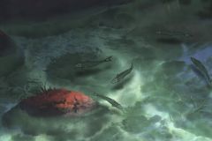 PixPin_2024-10-13_18-05-11-gigapixel-standard-v2-2x-4K